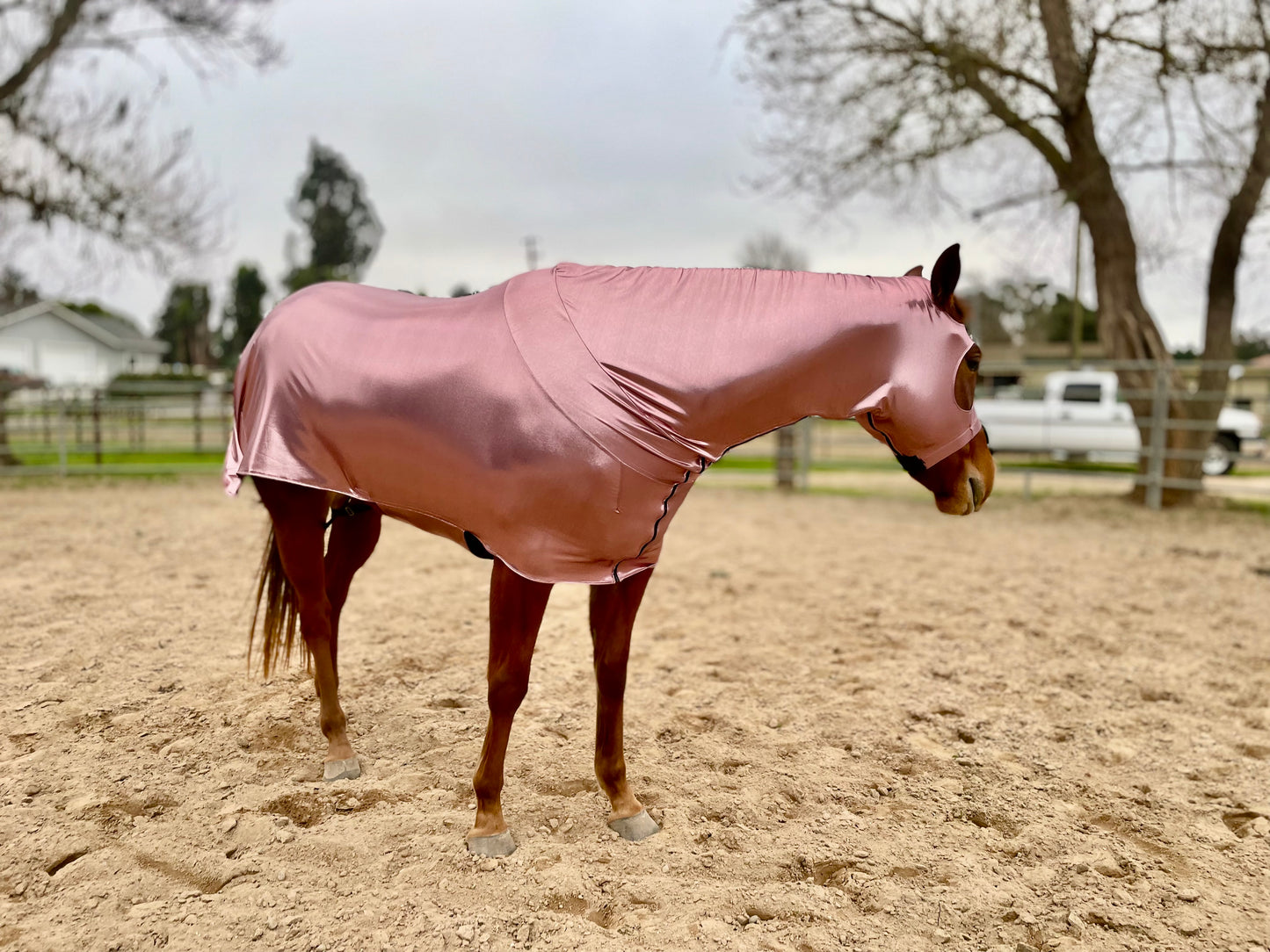 Metallic Mauve Full Body Sleazy