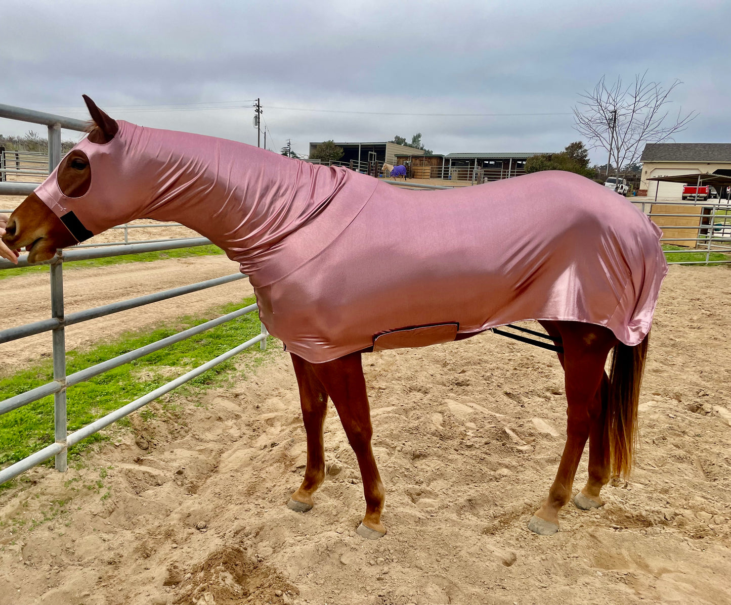 Metallic Mauve Full Body Sleazy