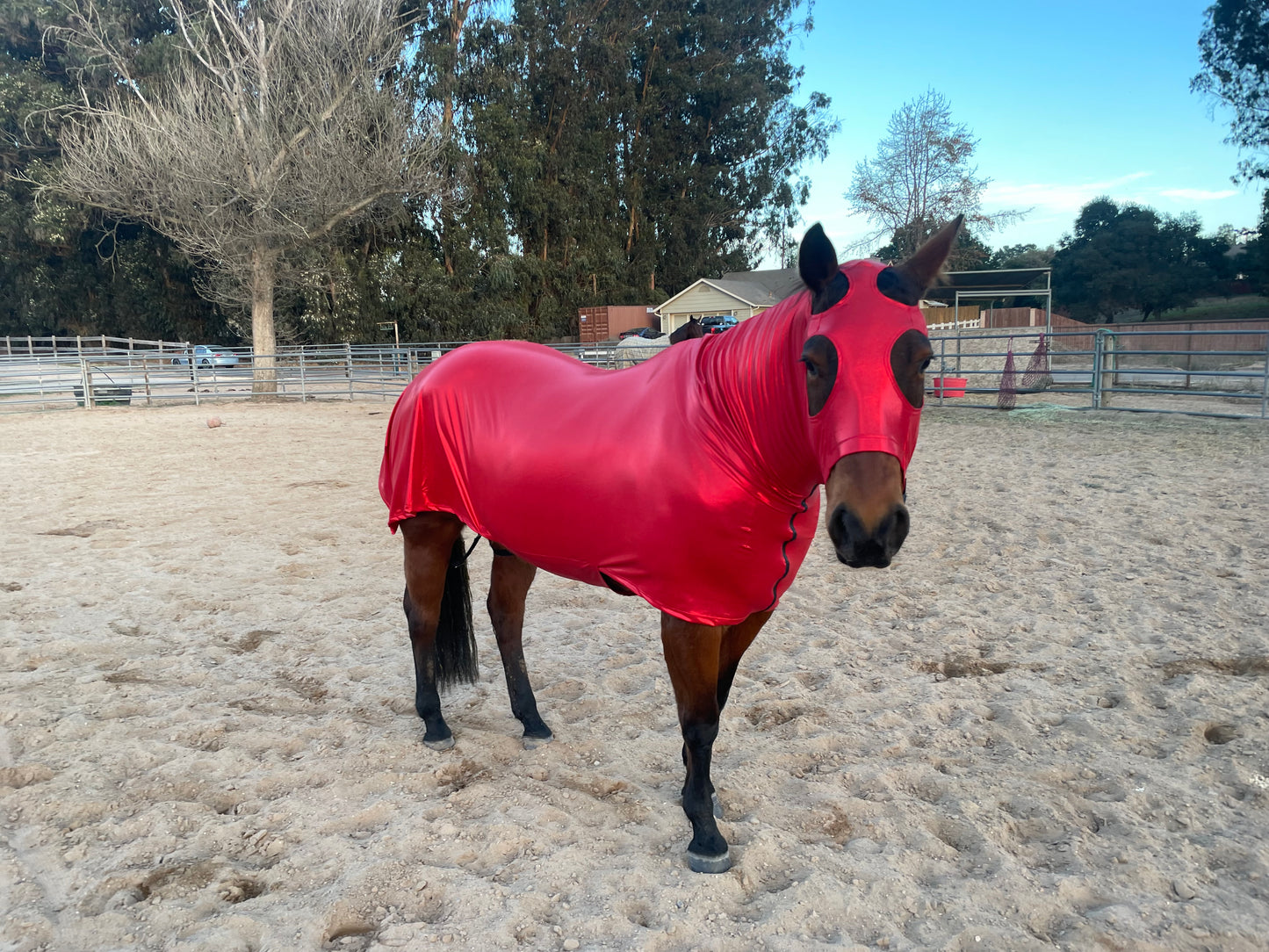 Metallic Red Full Body Sleazy