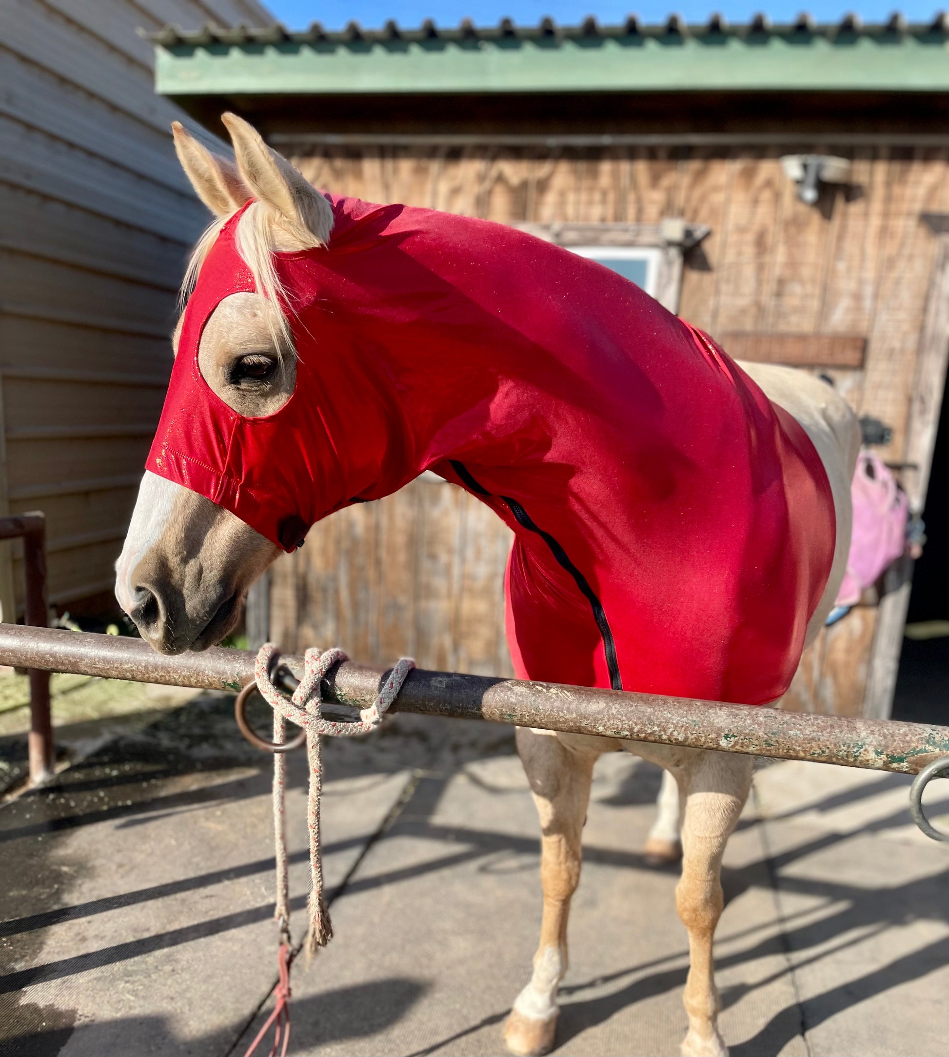 Metallic Red Sleazy Hood from www.slickhorseware.com